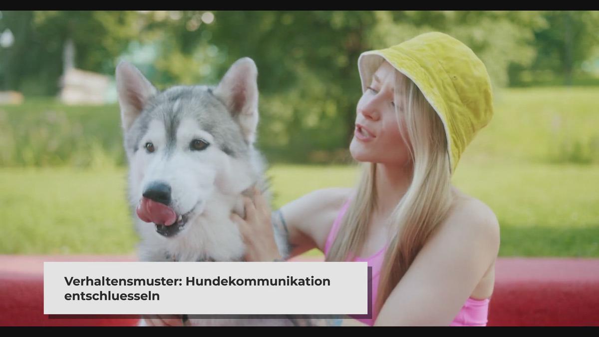 'Video thumbnail for Flickify Beispielvideo: Hundeverhalten Verstehen - Signale und ihre Bedeutungen'